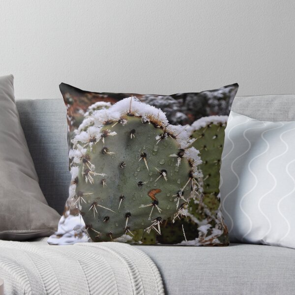Artikelvorschau, Cactus in Snow entworfen und verkauft von schesnut.