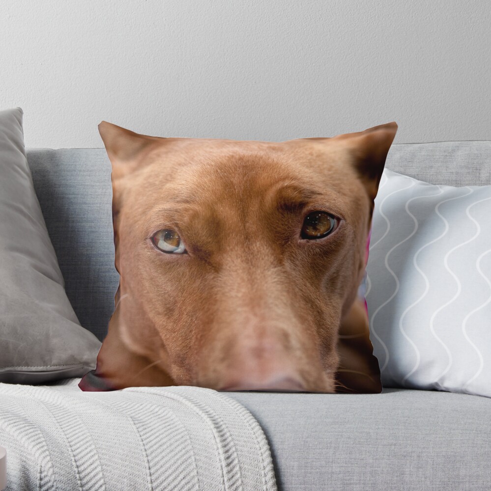 A pharoah's gaze Throw Pillow