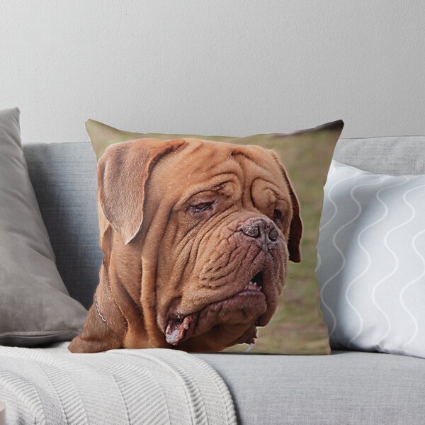 Artikelvorschau,  total ein Mastiff gewidmet

Canon EOS7D entworfen und verkauft von R-Summers.