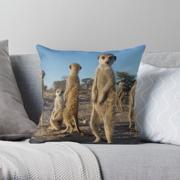Meerkat morning Throw Pillow