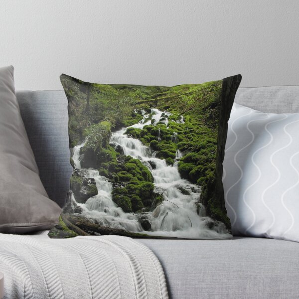 Wahkeena Creek 3112_032505 Throw Pillow
