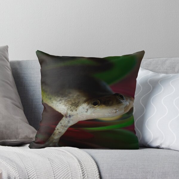 Item preview, African Dwarf Frog designed and sold by vasu.