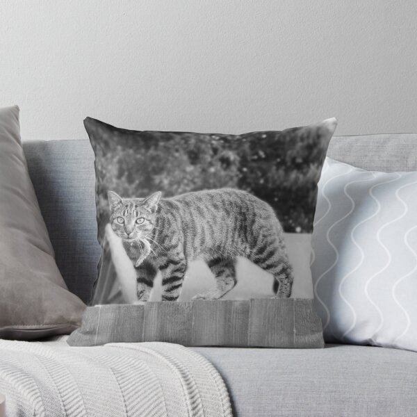 Item preview, Cat on the Fence designed and sold by RoryMackenzie.