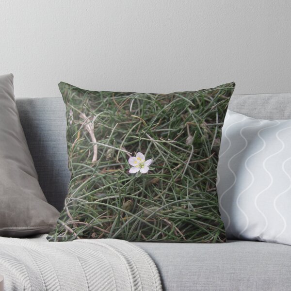 Shelter Throw Pillow