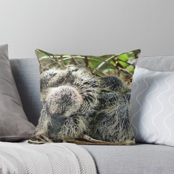 Item preview, Morning Dove Baby Birds designed and sold by Carla Jensen.
