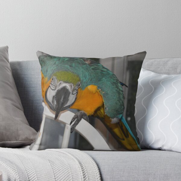 Item preview, Paco 3 designed and sold by paulbl.
