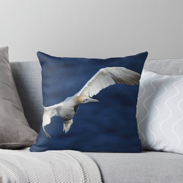 Item preview, Northern Gannet designed and sold by Maria Gaellman.