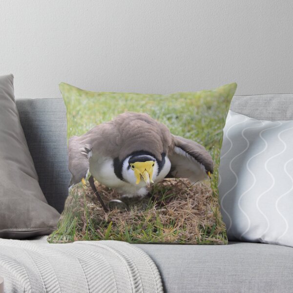 Item preview, Nesting Masked Lapwing designed and sold by leesdanielt.