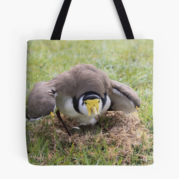 Item preview, Nesting Masked Lapwing designed and sold by leesdanielt.