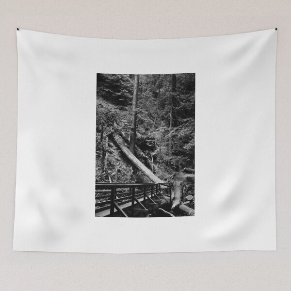 Item preview, Muir Woods in Black and White. 2012 designed and sold by Igor Pozdnyakov.