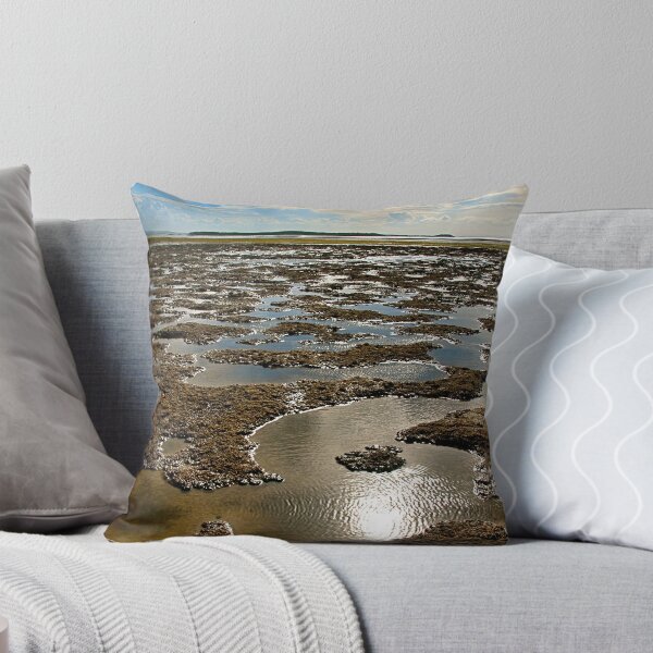 Item preview, Low Tide.  designed and sold by pictureit.