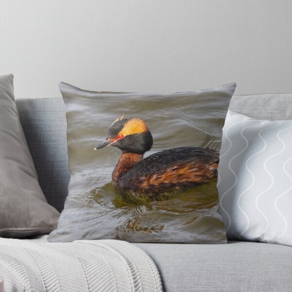 Item preview, Horned grebe (Podiceps auritus): Tulelake ~ Grebe Central designed and sold by johnrw21.