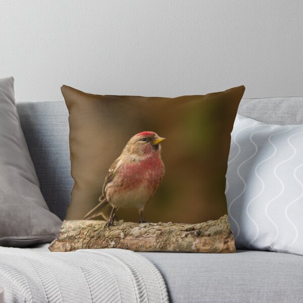 Item preview, lesser redpoll designed and sold by Jon Lees.