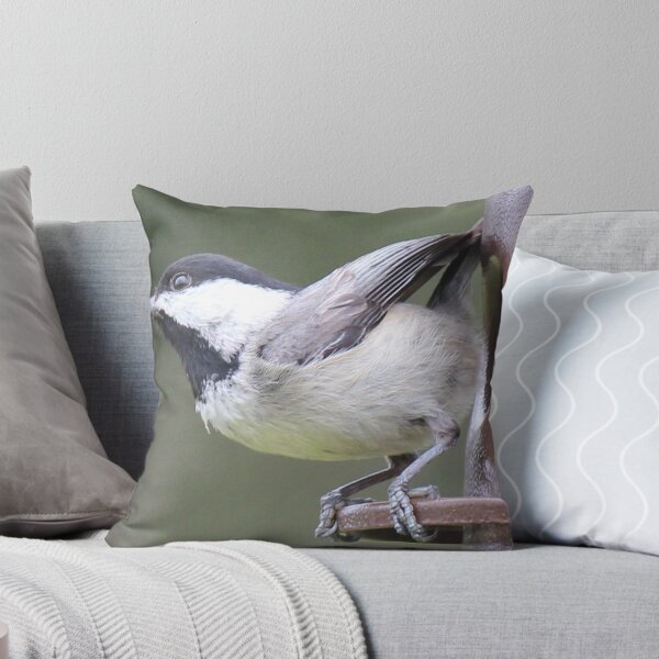 Item preview, Chickadee Launch designed and sold by Bob Hardy.