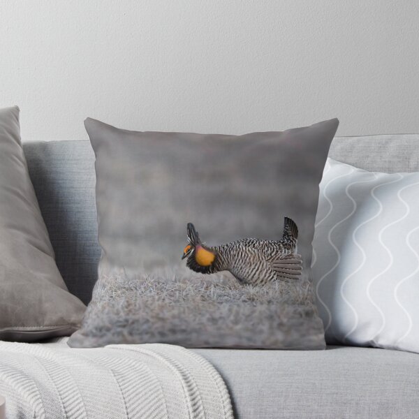 Item preview, Prairie Chicken 2013-6 designed and sold by Thomasyoung.