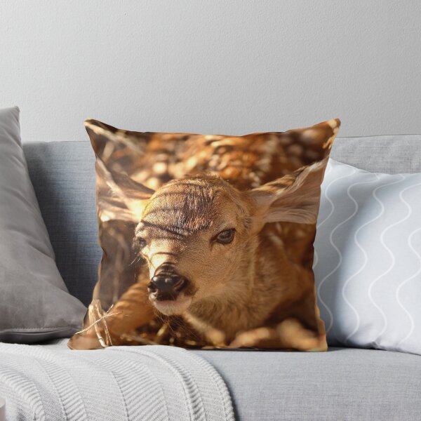 Item preview, Newly born fawn hiding in a Saskatchewan field designed and sold by pictureguy.