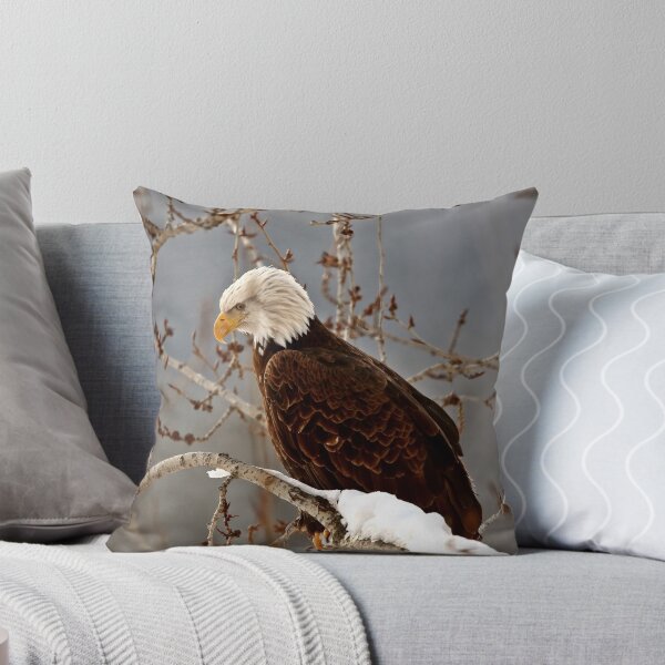 Item preview, Bald Eagle perched in tree designed and sold by pictureguy.