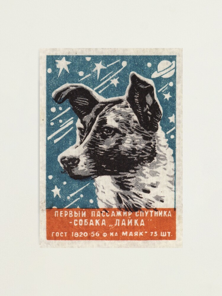 Alternate view of Laika the dog - Soviet Space Art, USSR Matchbox Design, 1957 Photographic Print