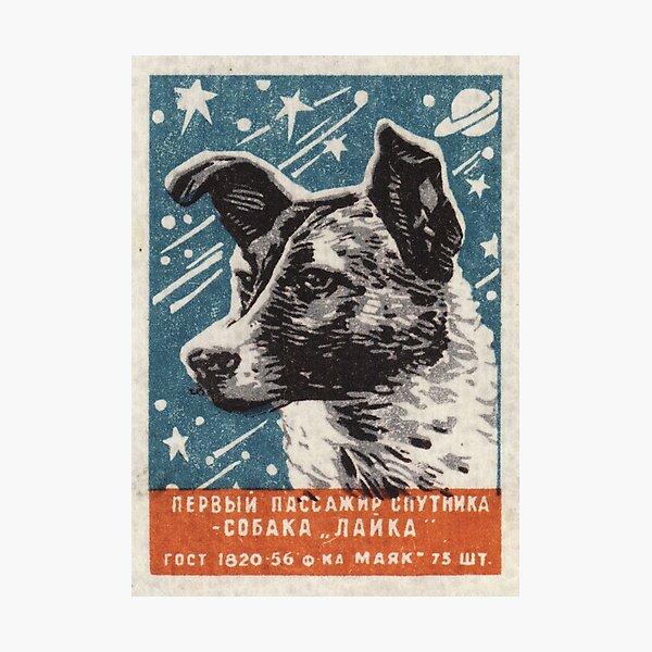 Laika the dog - Soviet Space Art, USSR Matchbox Design, 1957 Photographic Print