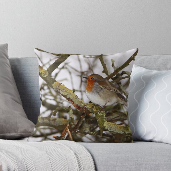 Item preview, Robin designed and sold by FXST.