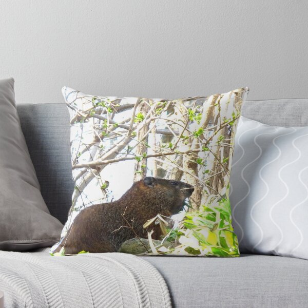 Item preview, This a'int no Groundhog Day designed and sold by MarianBendeth.