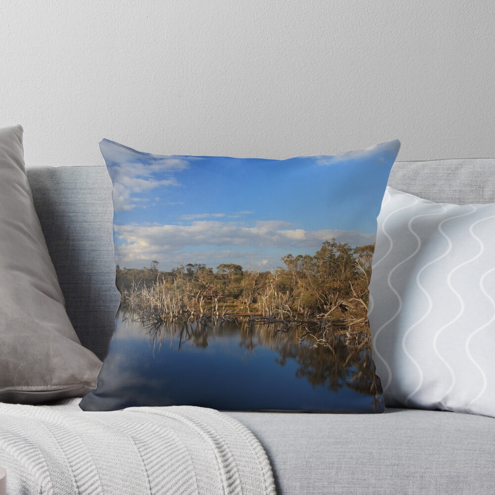 Item preview, Throw Pillow designed and sold by colstrack.