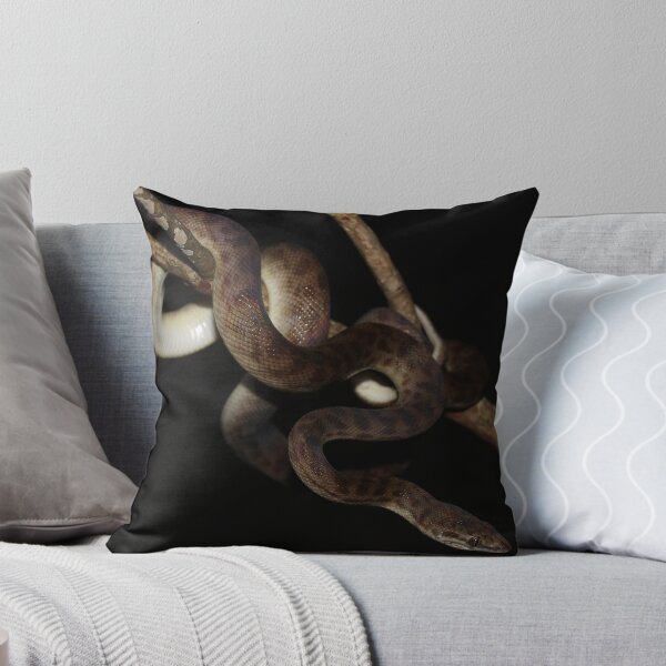 Item preview, Antaresia childreni_Kakadu NP_NT designed and sold by tiliqua.