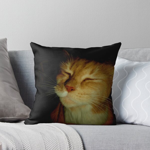 Item preview, recover designed and sold by DMEIERS.