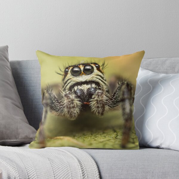 Item preview, Macaroeris nidicolens jumping spider photo designed and sold by Mario Cehulic.