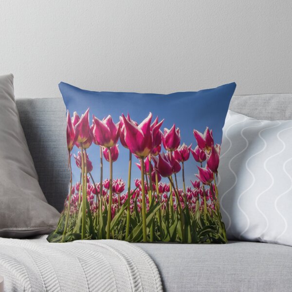 Item preview, Down in Front designed and sold by Steve Walser.