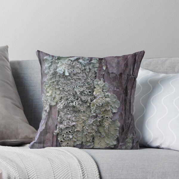 Item preview, Lichen on Bark designed and sold by Helen Greenwood.