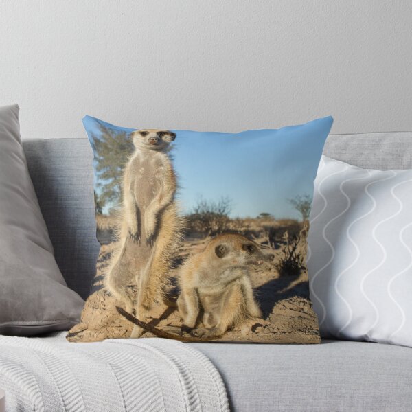 Item preview, Two meerkats designed and sold by Anthony Brewer.