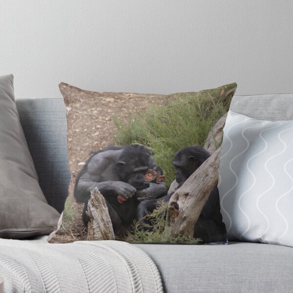 Item preview, Baby Chimp & Mum designed and sold by Stuart Daddow Photography.