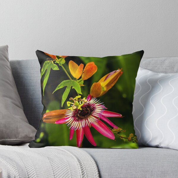 Item preview, Little Red Bromeliad designed and sold by MLP Fine Art.
