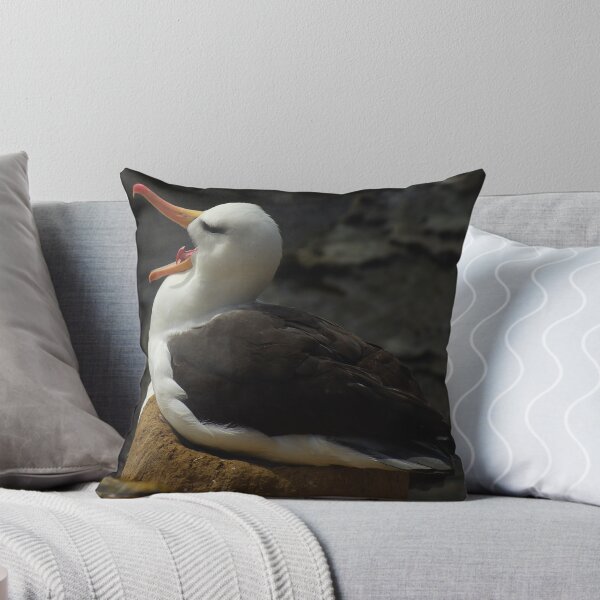 Item preview, It's hard being an Albatross... designed and sold by SwampDogPhoto.