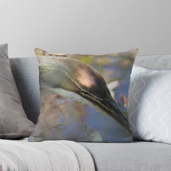 Item preview, American Bittern designed and sold by TeresaB.