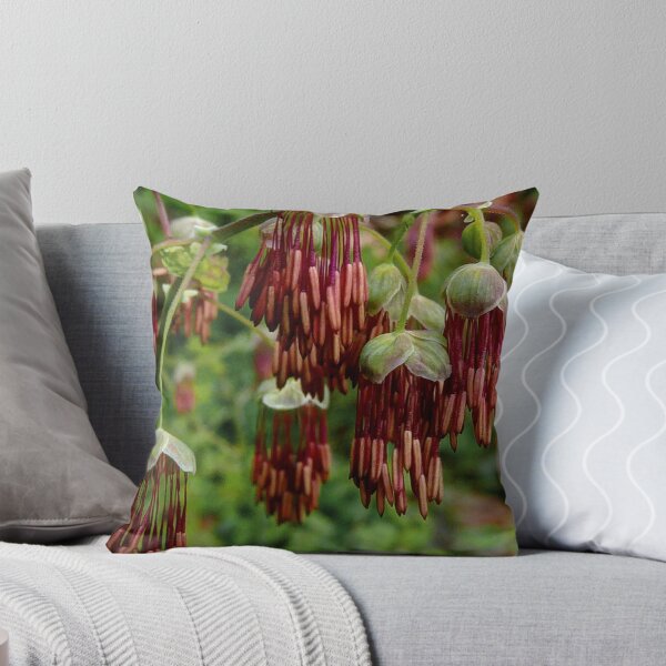 Item preview, Meadow Rue designed and sold by Charles & Patricia Harkins ~ Picture Oregon.