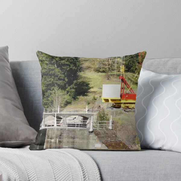 Item preview, Glines Dam Removal designed and sold by Loisb.