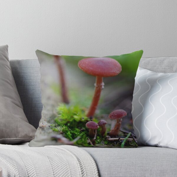 Item preview, Sort in order of size designed and sold by Helena Bolle.