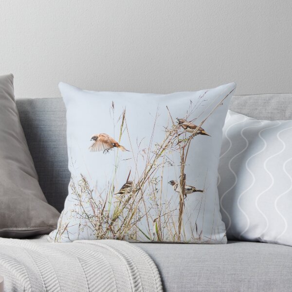Item preview, Ord barred Finches designed and sold by Colin White.
