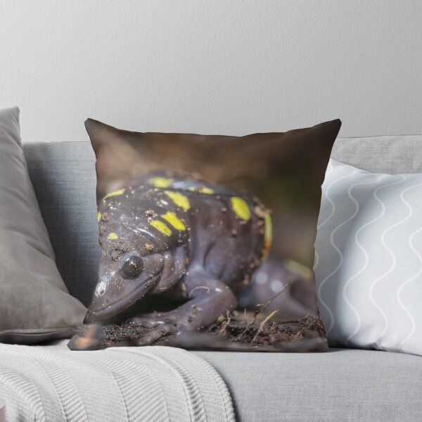 Item preview, It’s Late in the Year, Spotted Salamander (Ambystoma maculatum)  designed and sold by Dave Huth.