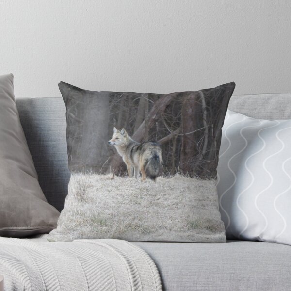 Item preview, Coyote in early spring     designed and sold by debraroffo.