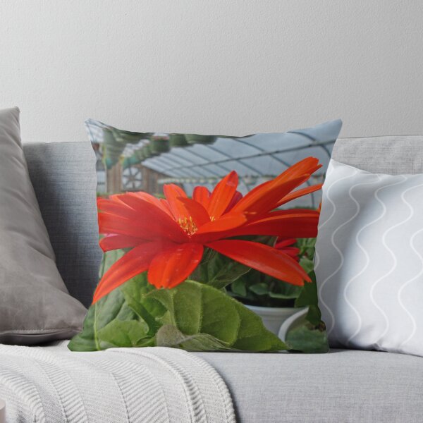 Item preview, Red Beauty designed and sold by Frankie Cat Photography.