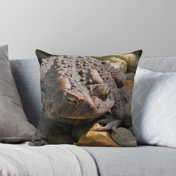 Artikelvorschau, Toad of the Garden entworfen und verkauft von Lynn Gedeon.