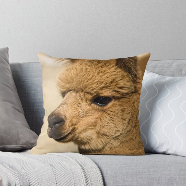 Item preview, Alpaca at One Tree Hill Alpacas (6) designed and sold by Wolf Sverak Photography.