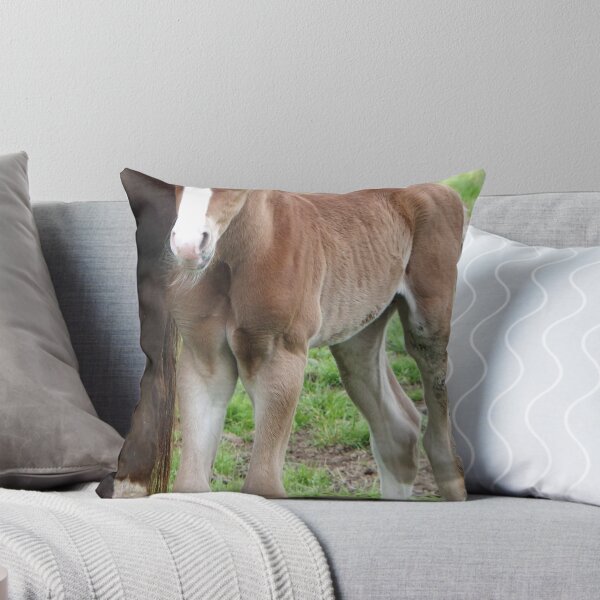 Item preview, Quarter horse colt designed and sold by SKNickel.