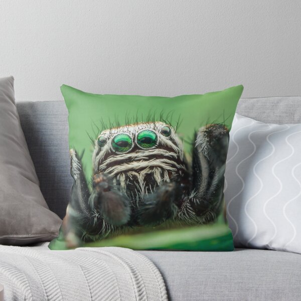 Item preview, Evarcha arcuata male jumping spider designed and sold by Mario Cehulic.