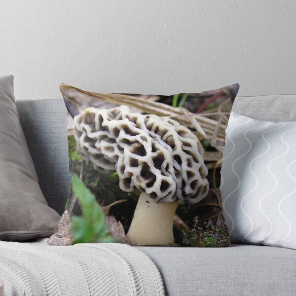 Item preview, He went THAT'A Way! designed and sold by Carla Wick/Jandelle Petters.
