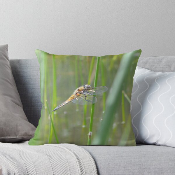 Item preview, Explorer designed and sold by MoniKitz.
