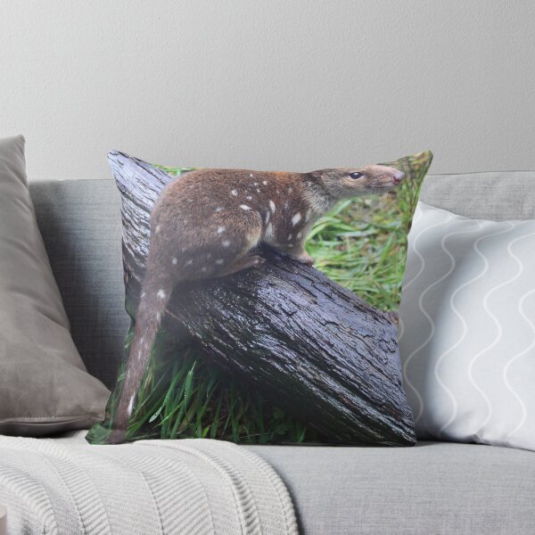 Item preview, Spotted Tailed Quoll designed and sold by Donovan Wilson.